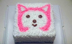 盐城大丰市团购_360团购导航